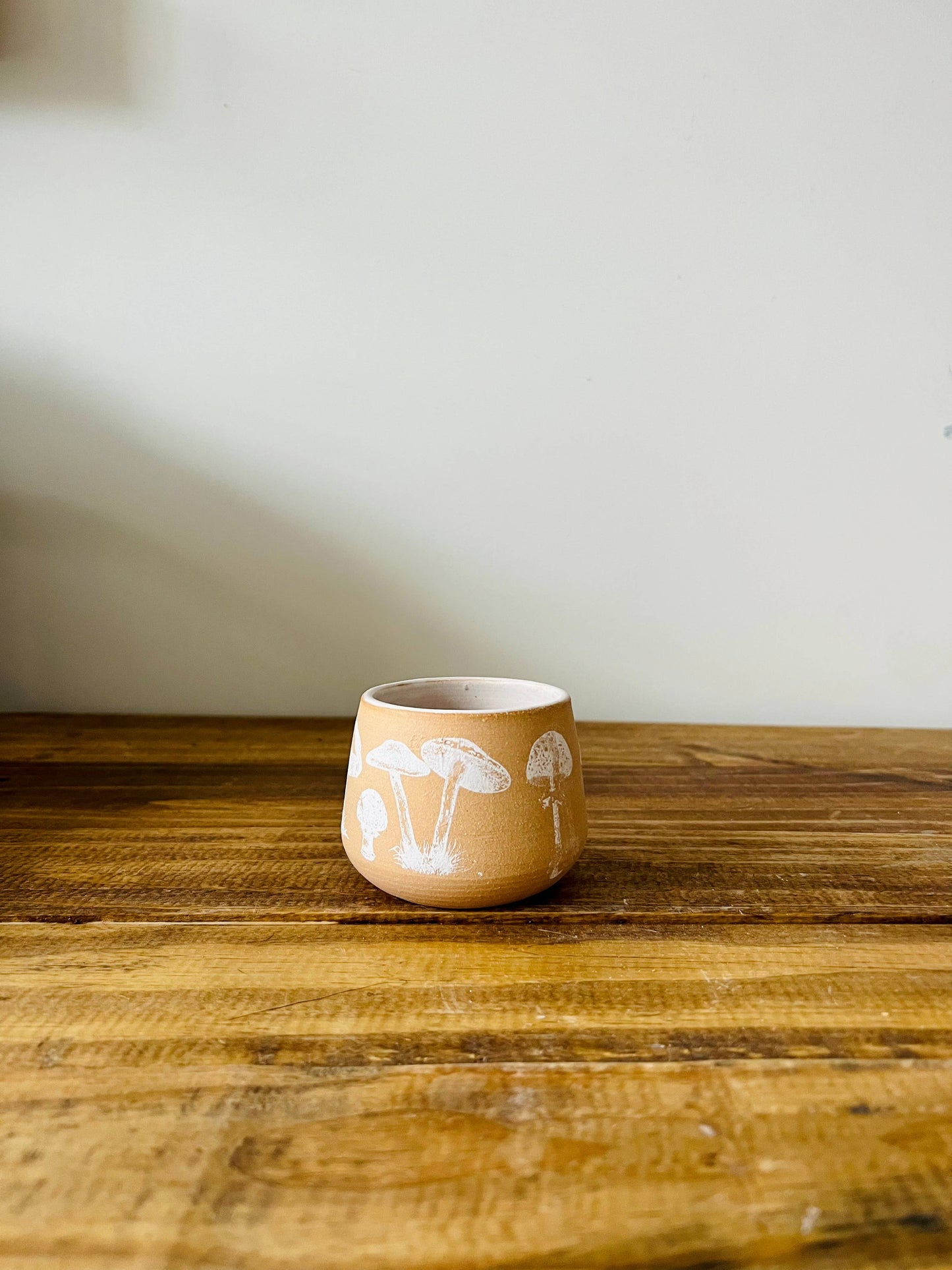 Mushroom Cup