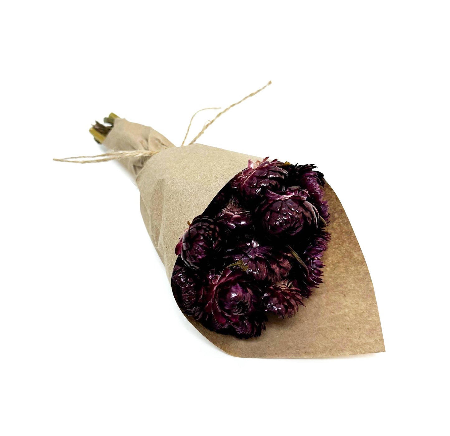 Merlot Mini Strawflower Bundle