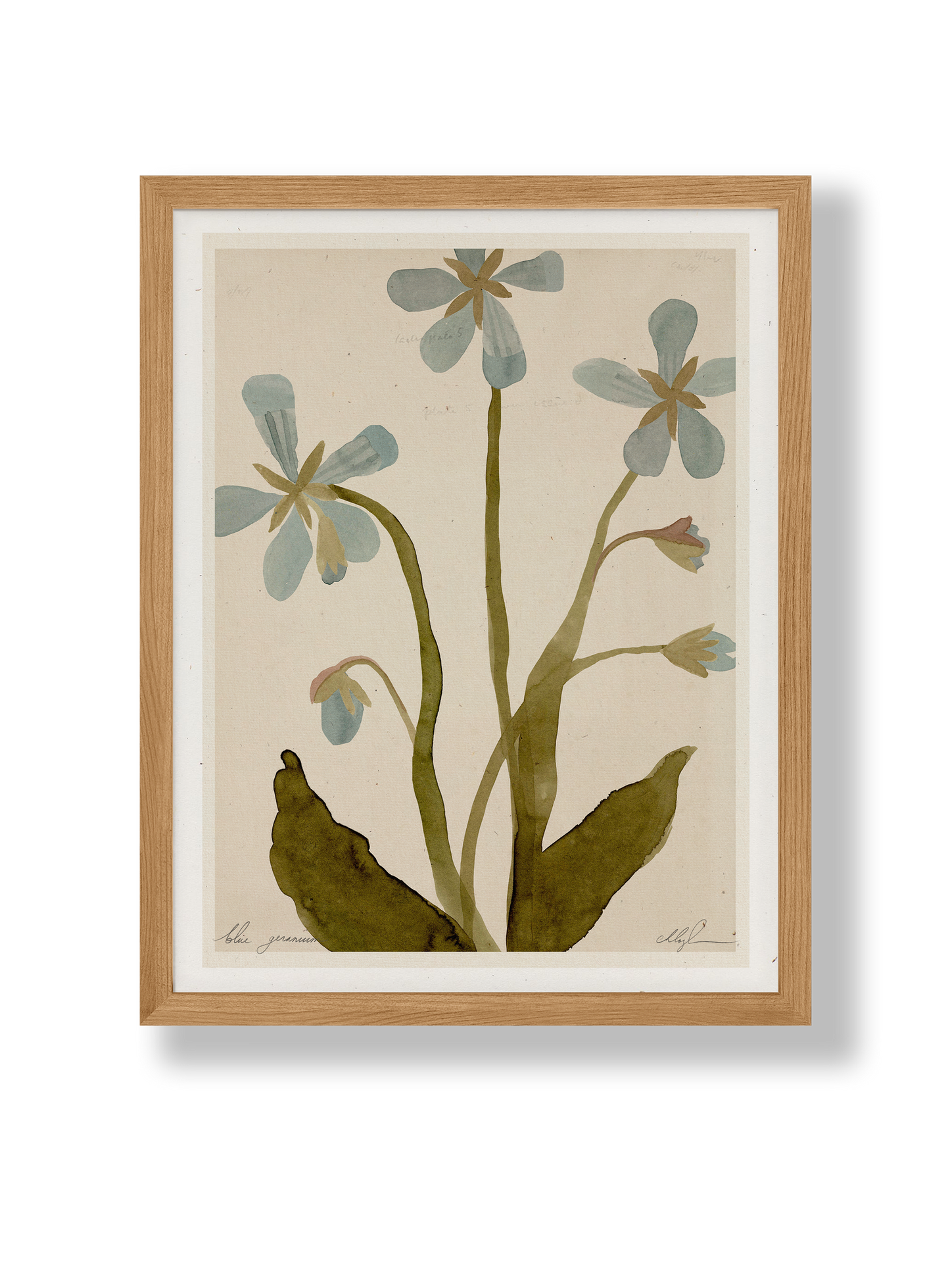 Blue Geranium art print