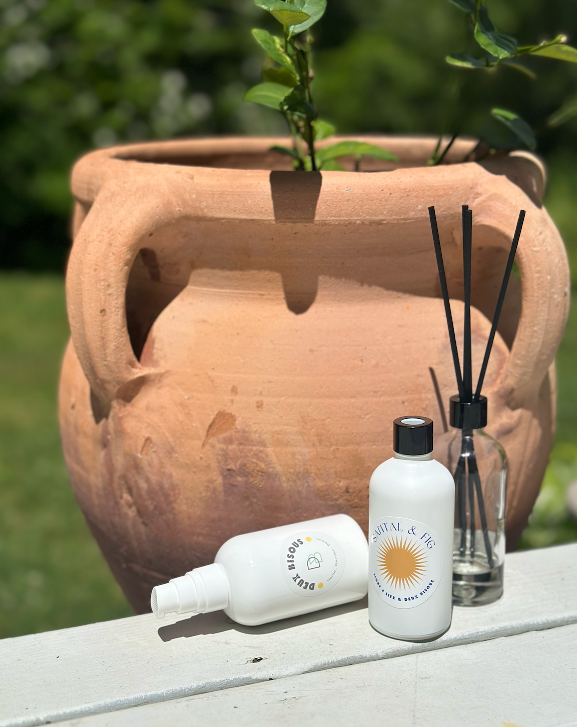 Santal & Fig Super Smooth Lotion