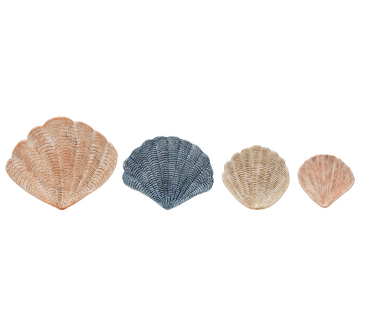 Shell dishes