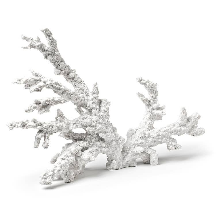 White Coral Branch