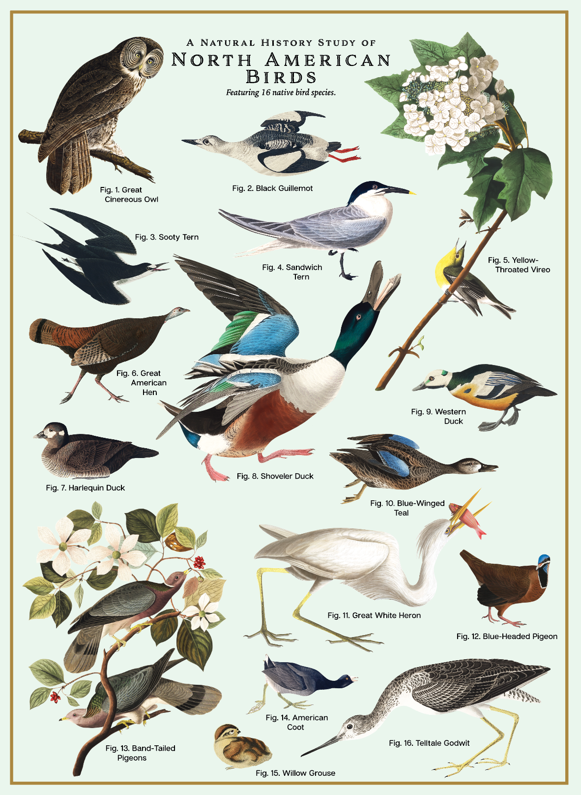Birds Puzzle – 500 Pc Tube with Vintage Illustrations