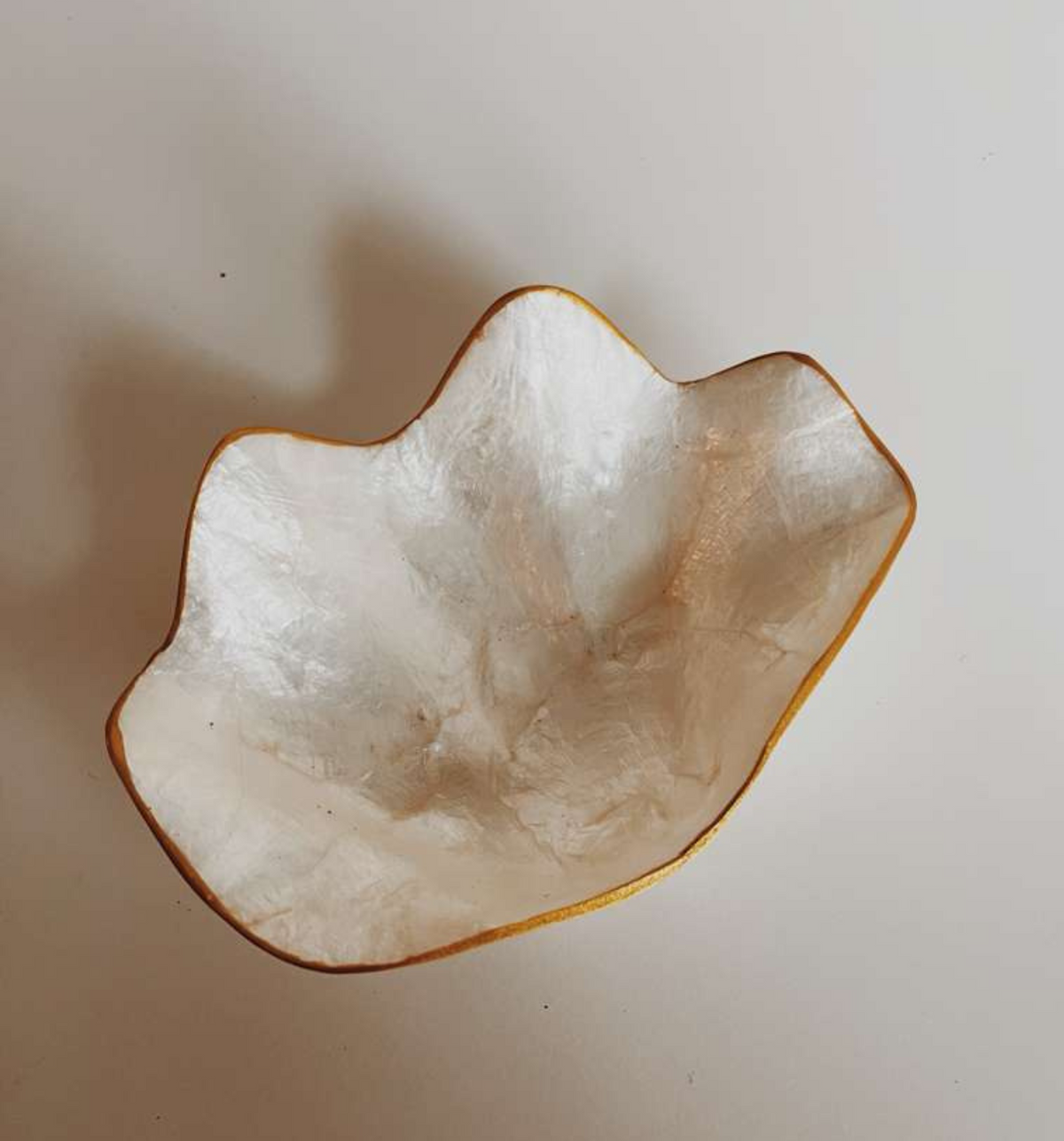Mother of Pearl Clam Dish