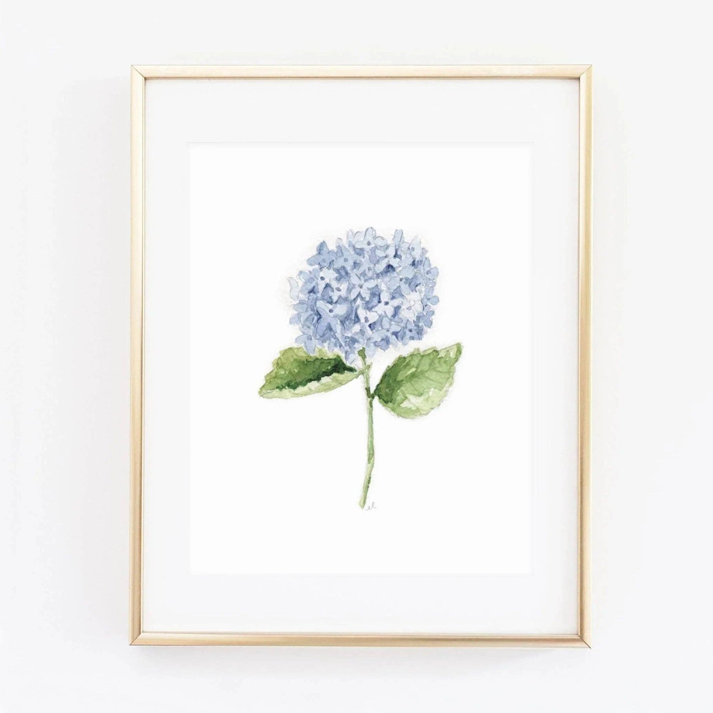 Hydrangea stem watercolor print