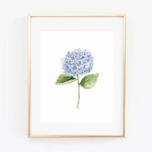 Hydrangea stem watercolor print