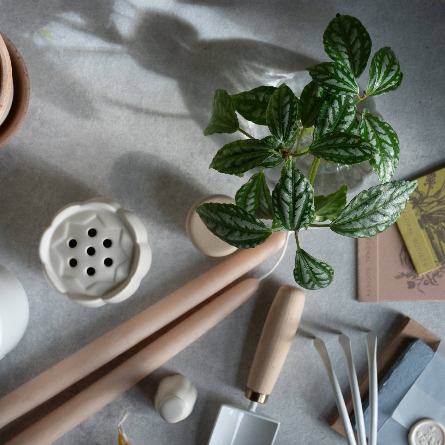Flower Frog Vases: Small