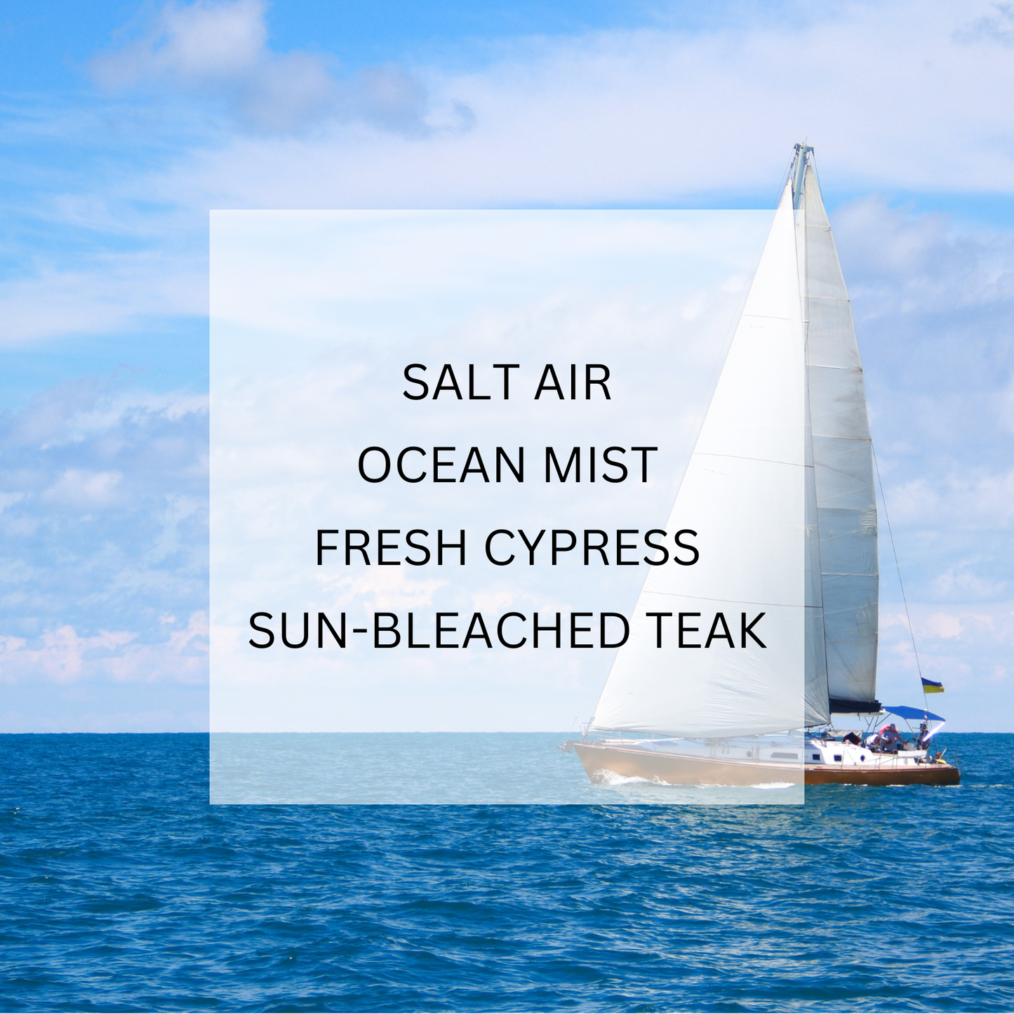 SAILOR Roller Oil Perfume • Salt Air & Cypress
