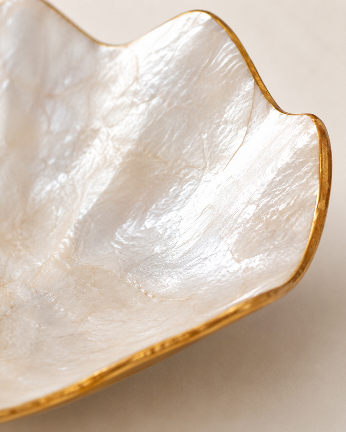Mother of Pearl Clam Dish