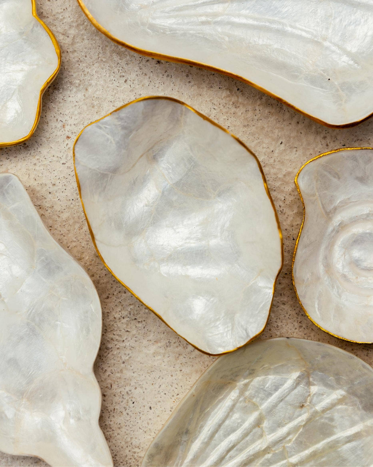 Mother of Pearl Clam Dish