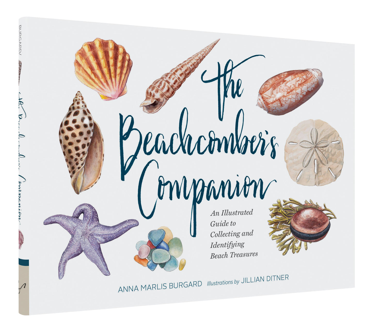 Chronicle Books - The Beachcomber's Companion