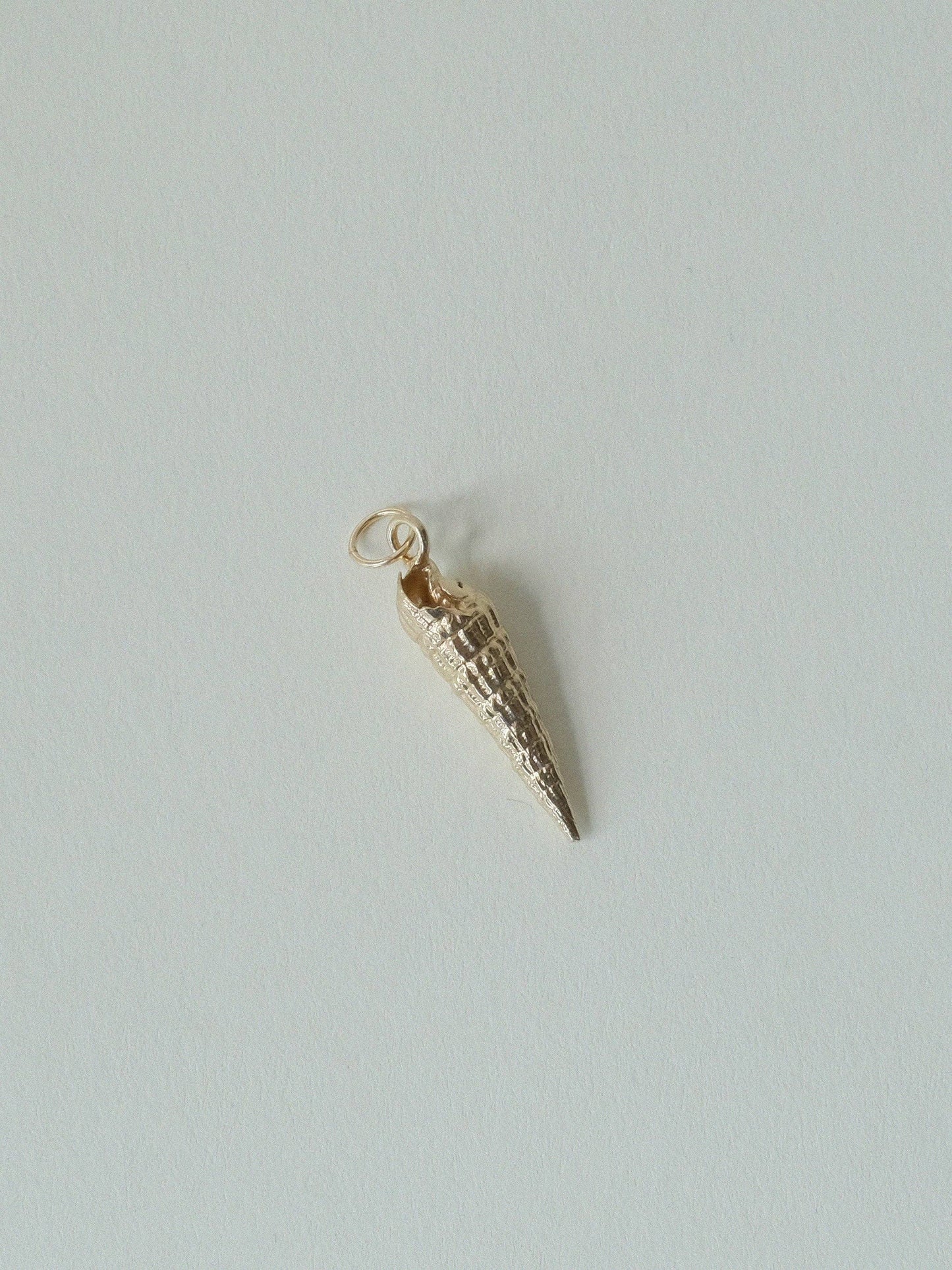 Auger Shell Charm