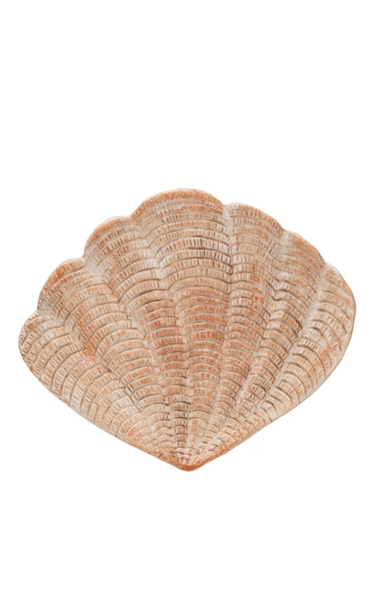Shell dishes