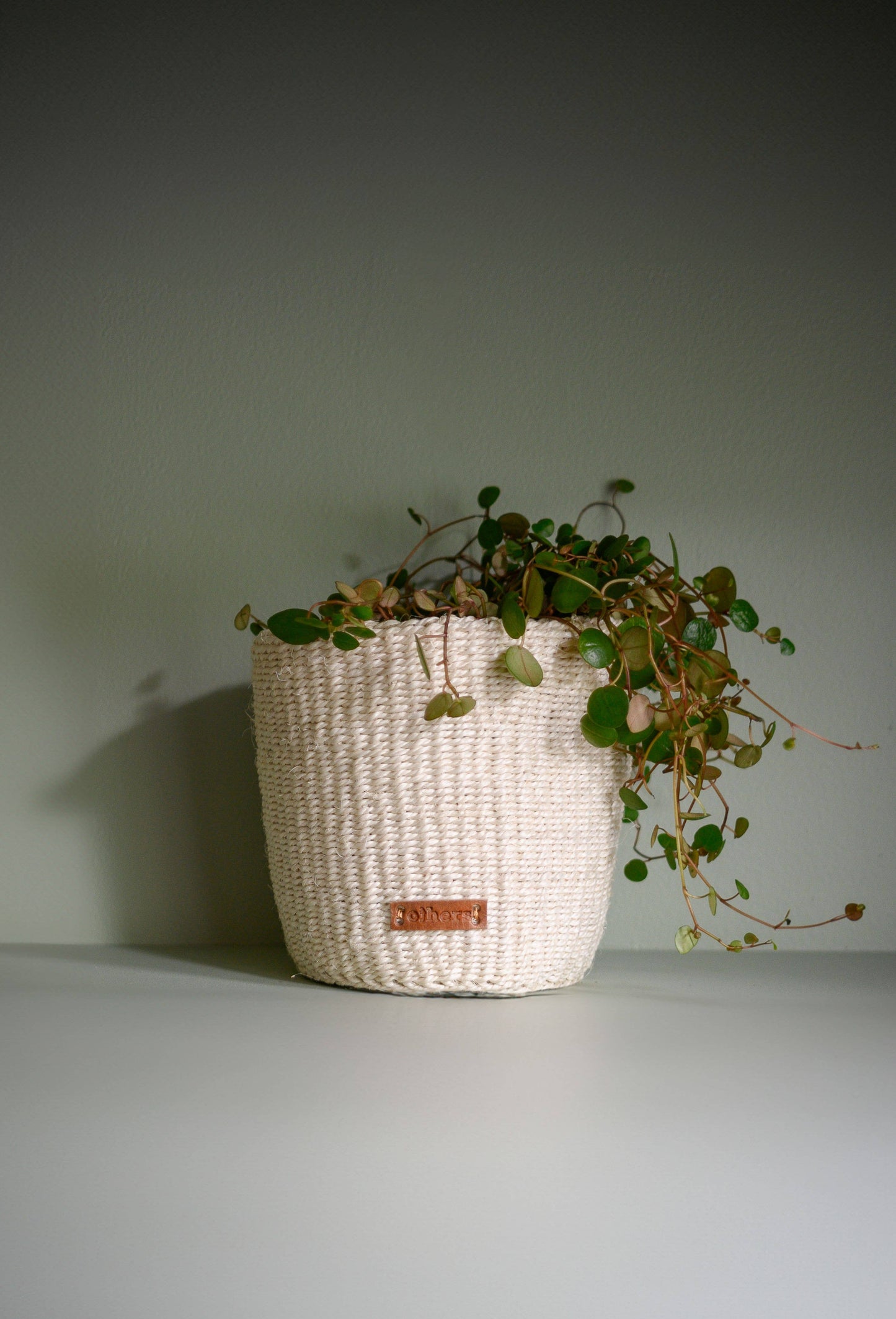 Sisal Flower Pot (small)