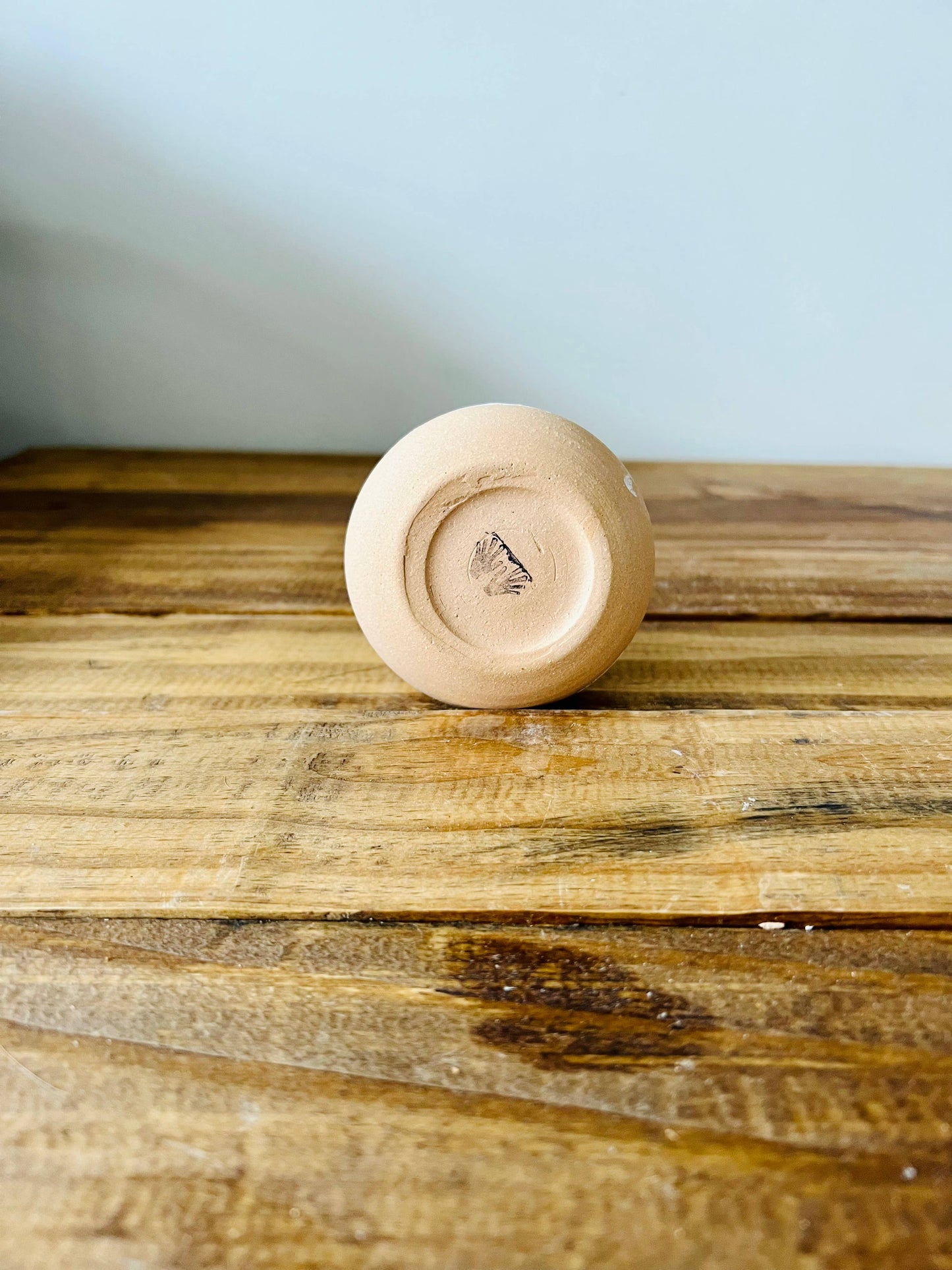 Mushroom Cup