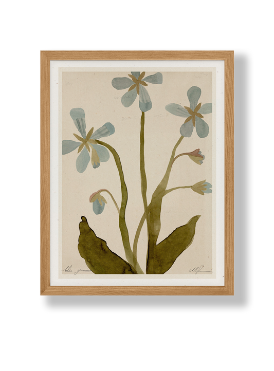 Blue Geranium art print