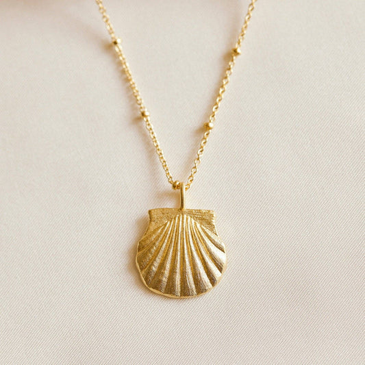 Seashell Necklace
