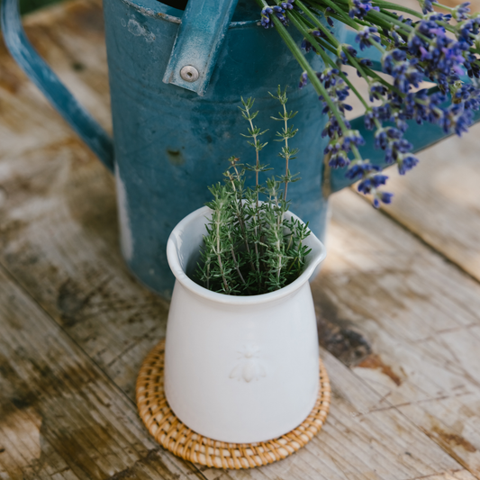 Bee Ceramic Creamer in Ecru