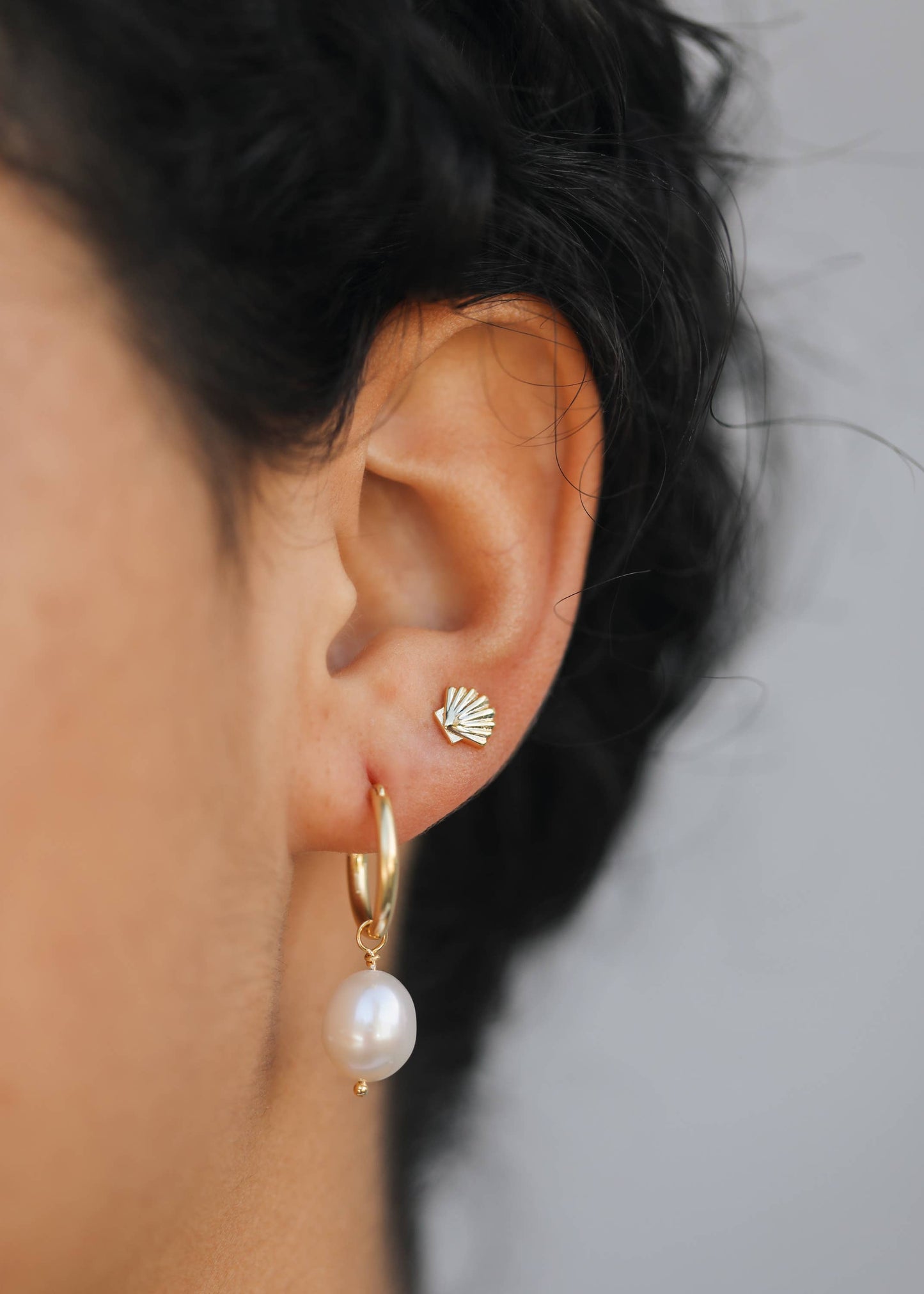 Gold Seashell Earrings