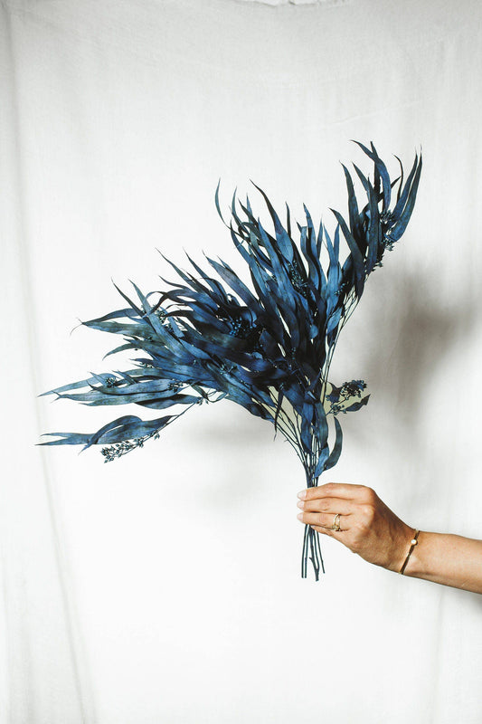 Indigo Exotica Eucalyptus