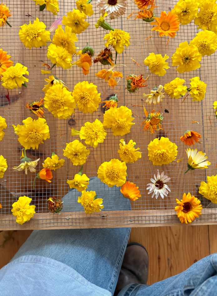 The Quiet Botanist - Organic Edible Flower Blend