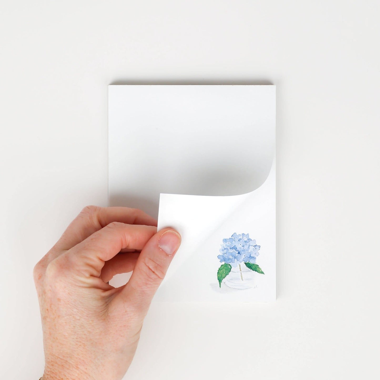 Emily Lex notepad