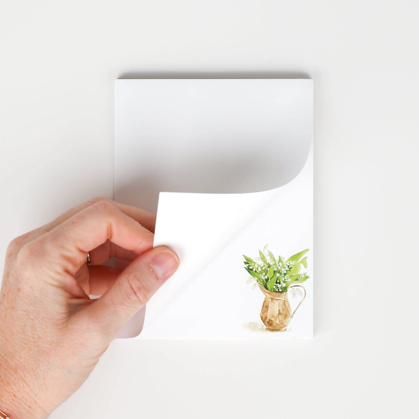Emily Lex notepad