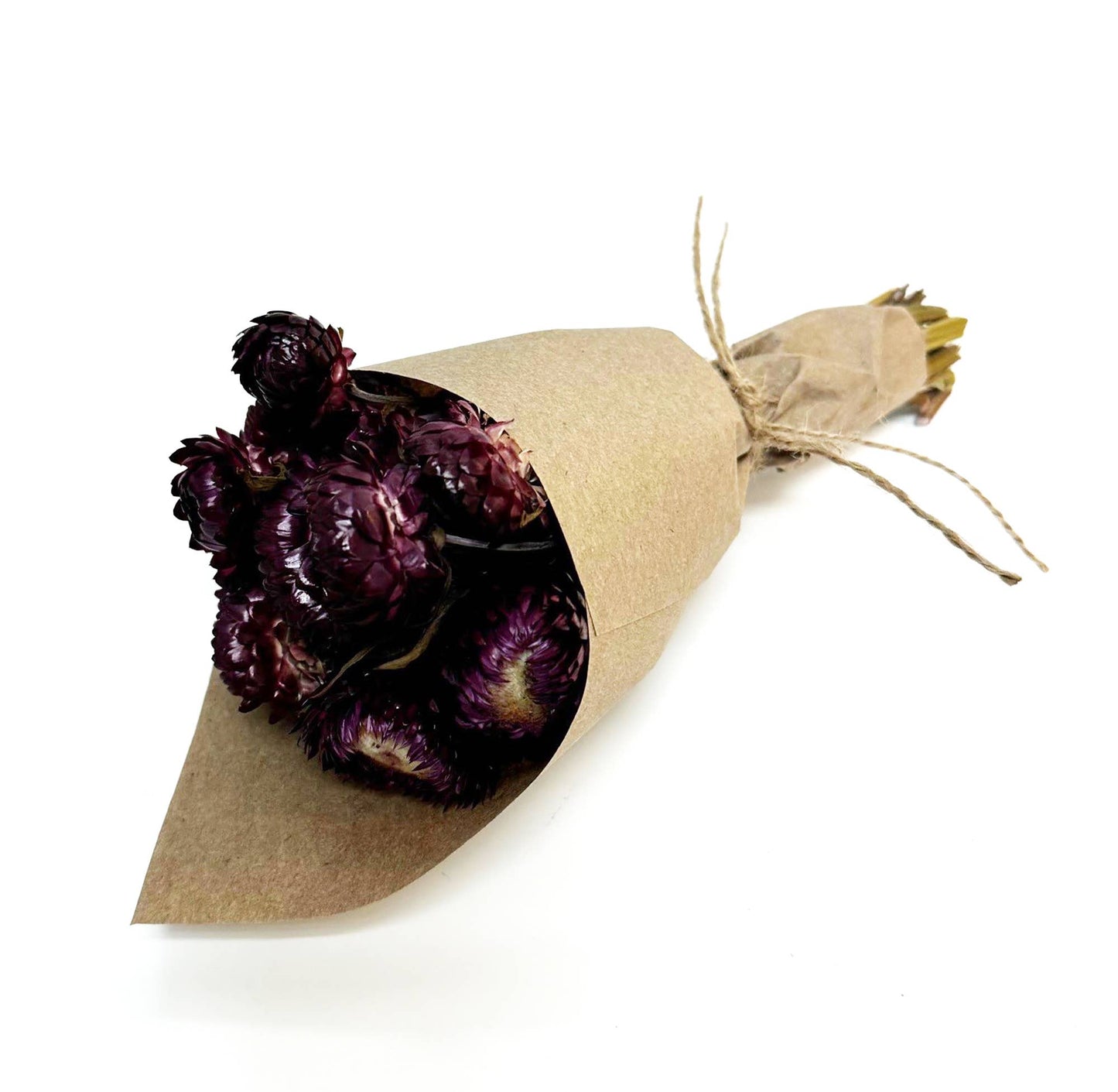 Merlot Mini Strawflower Bundle