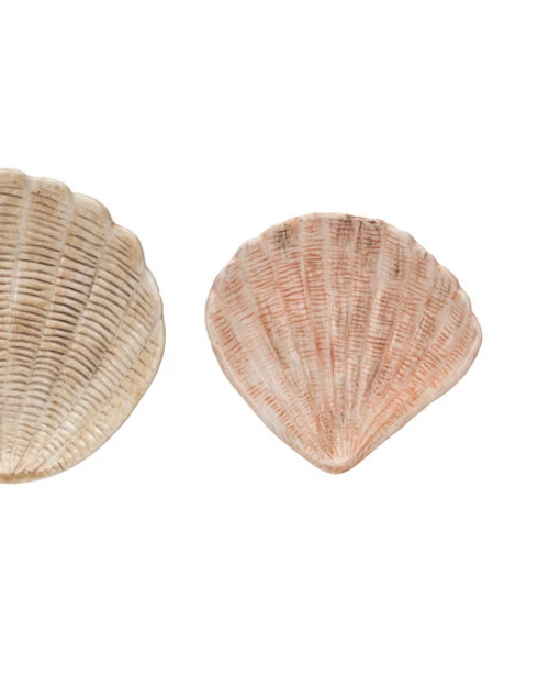 Shell dishes
